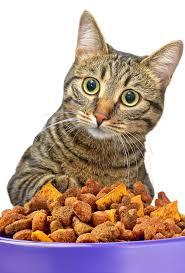 Dry Food