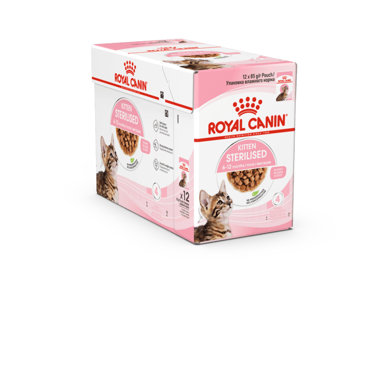 rc-cat-kitten sterlized-gravy.png