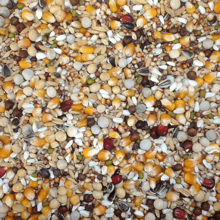 farma-breeding diet1.png