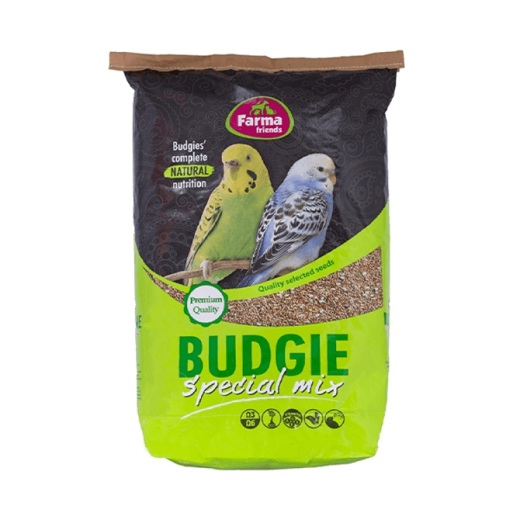 bird-budgiemix.png