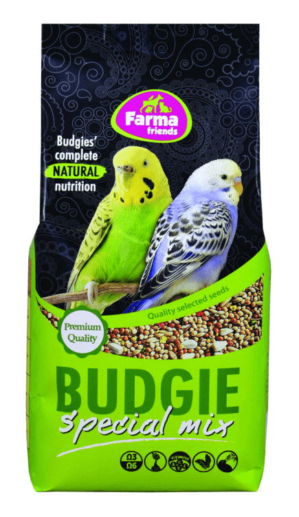 bird-budgie specialmix.png