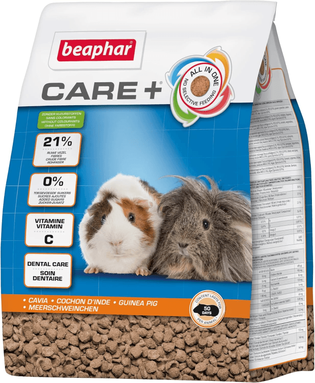 beapher-rabbit-guniea pig.png