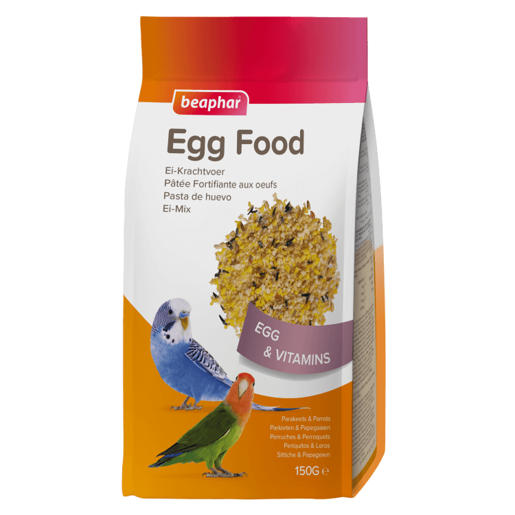 beapher-parrot-egg food.png