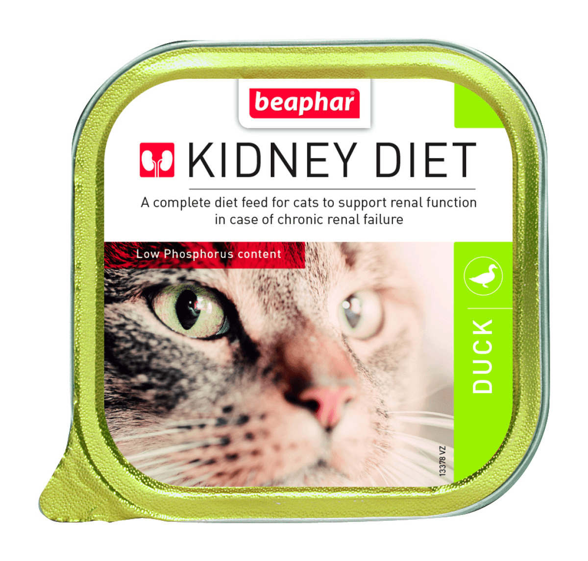 beapher-cat-kidney diet-duck.png