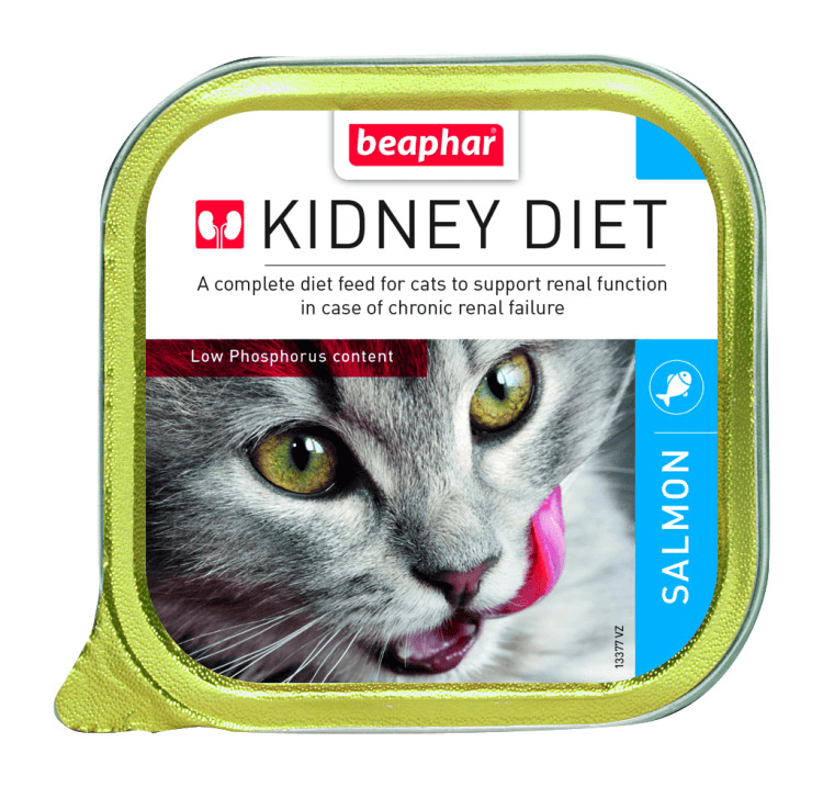 beapher-cat-kidney diet-salmon.png