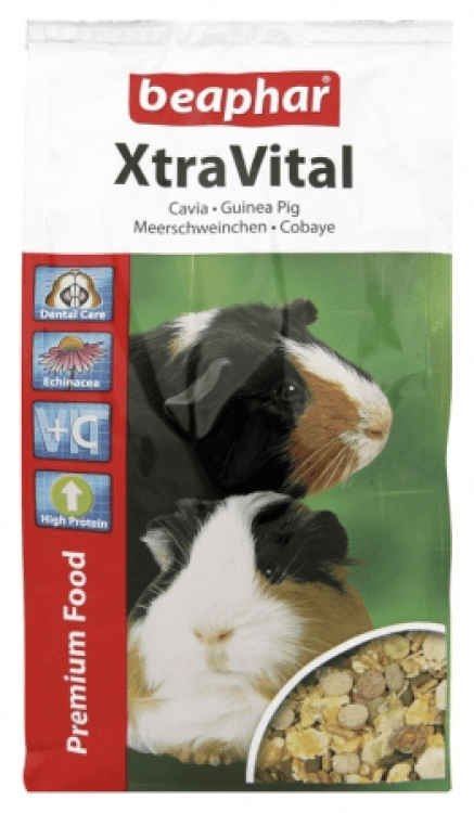 beapher-guinea pig-extra vital.png