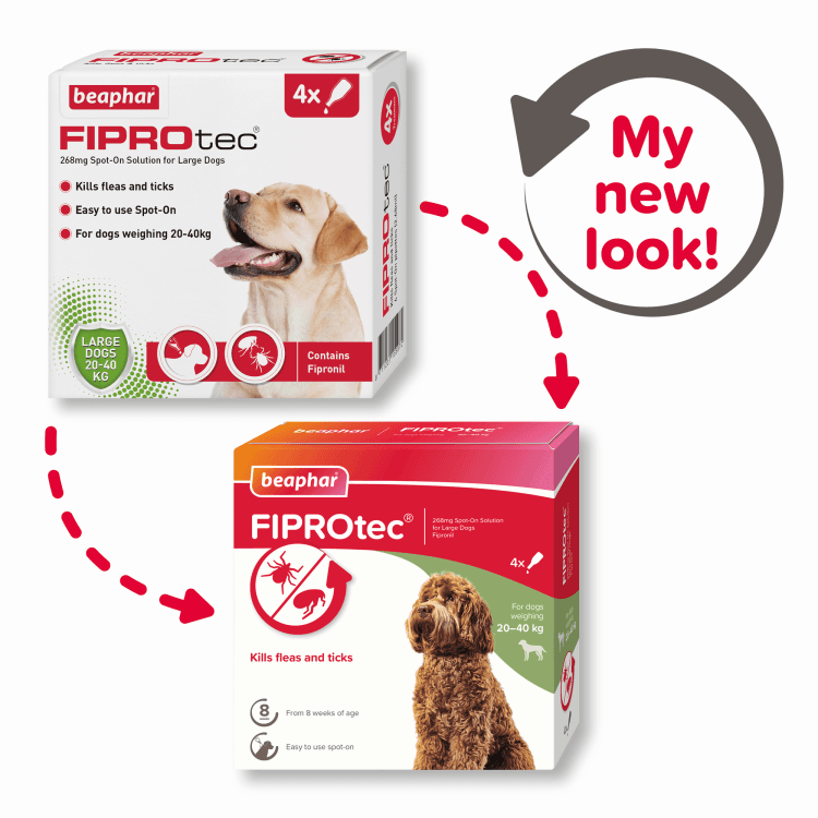 beapher-dog-large-fiprotec1.png