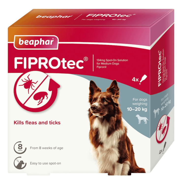 beapher-dog medium-fiprotec.png