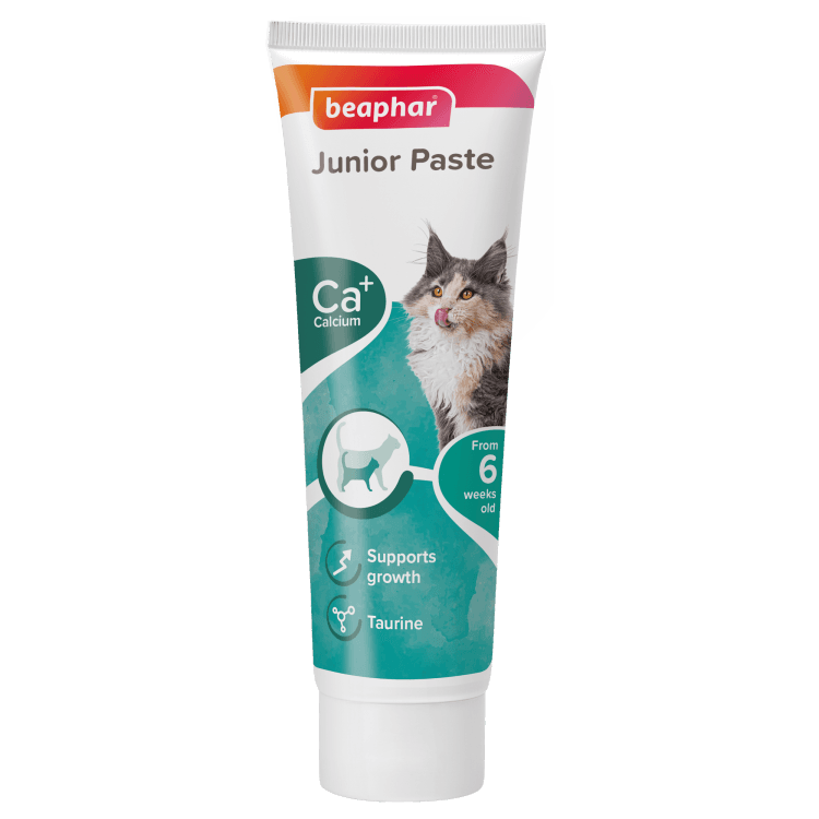 beapher-cat-junior paste.png