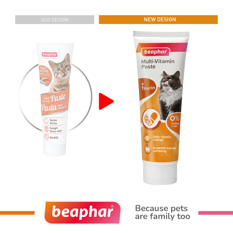 beapher-multivitamin-paste1-cat.png