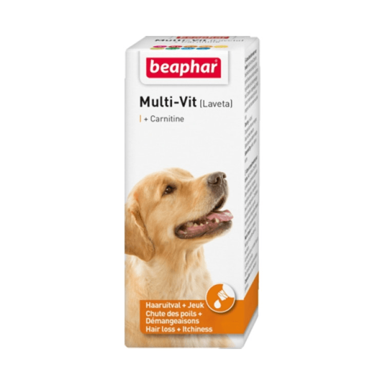 beapher-dog-laveta1.png