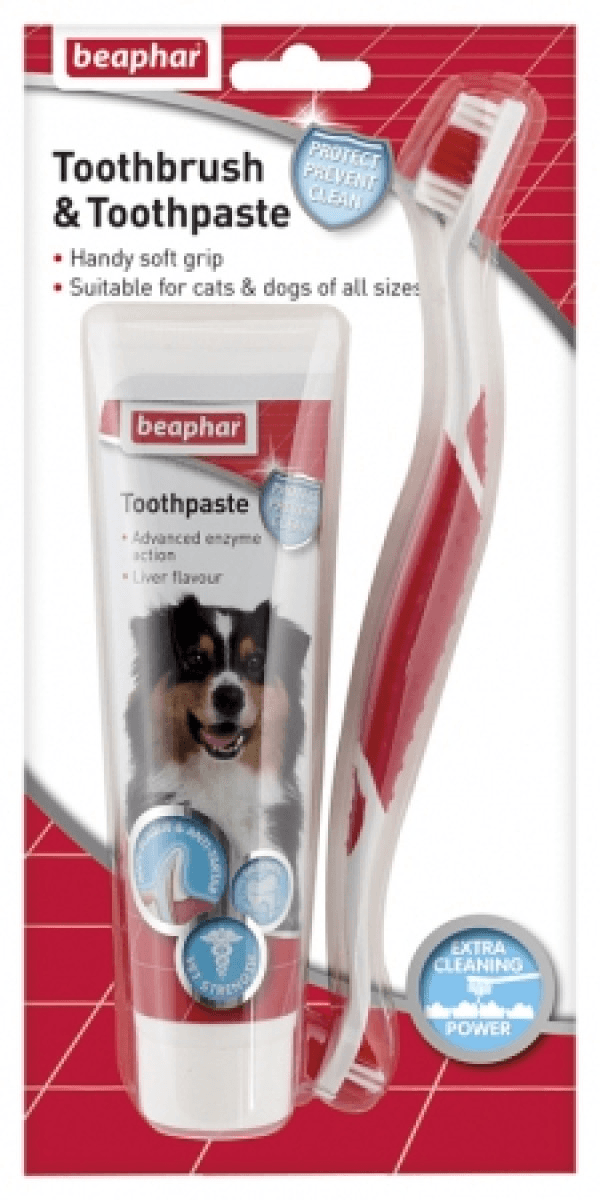 beapher-dog-toothbrush-paste.png