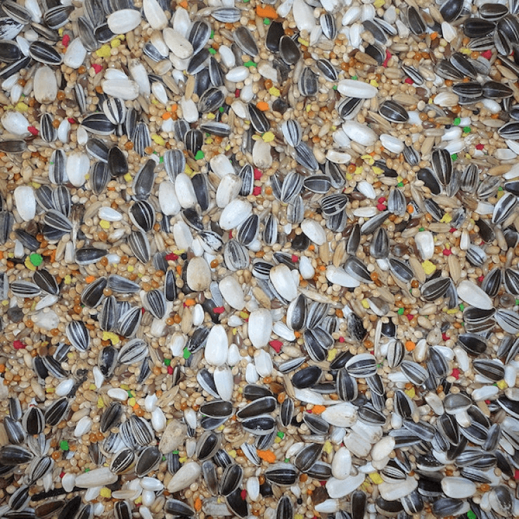 farma-Parakeet Budget Mix 20 kg1.png