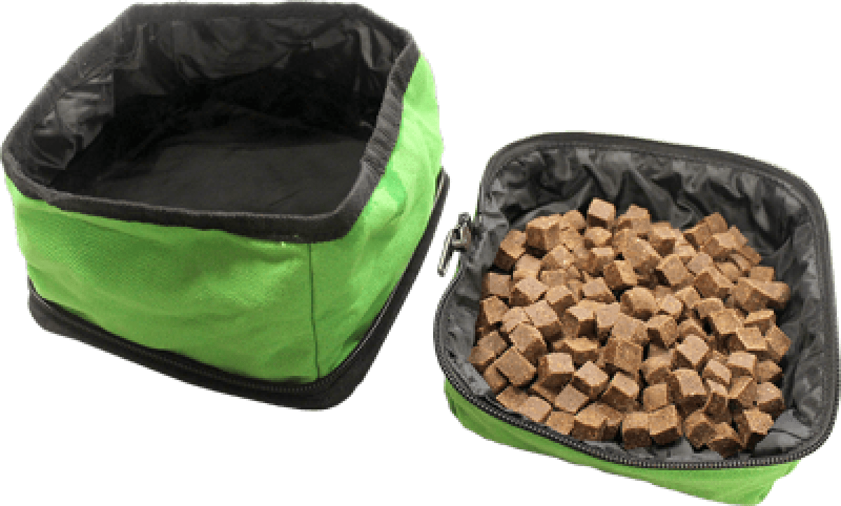 alcott-Explorer duo bowl - Green1.png