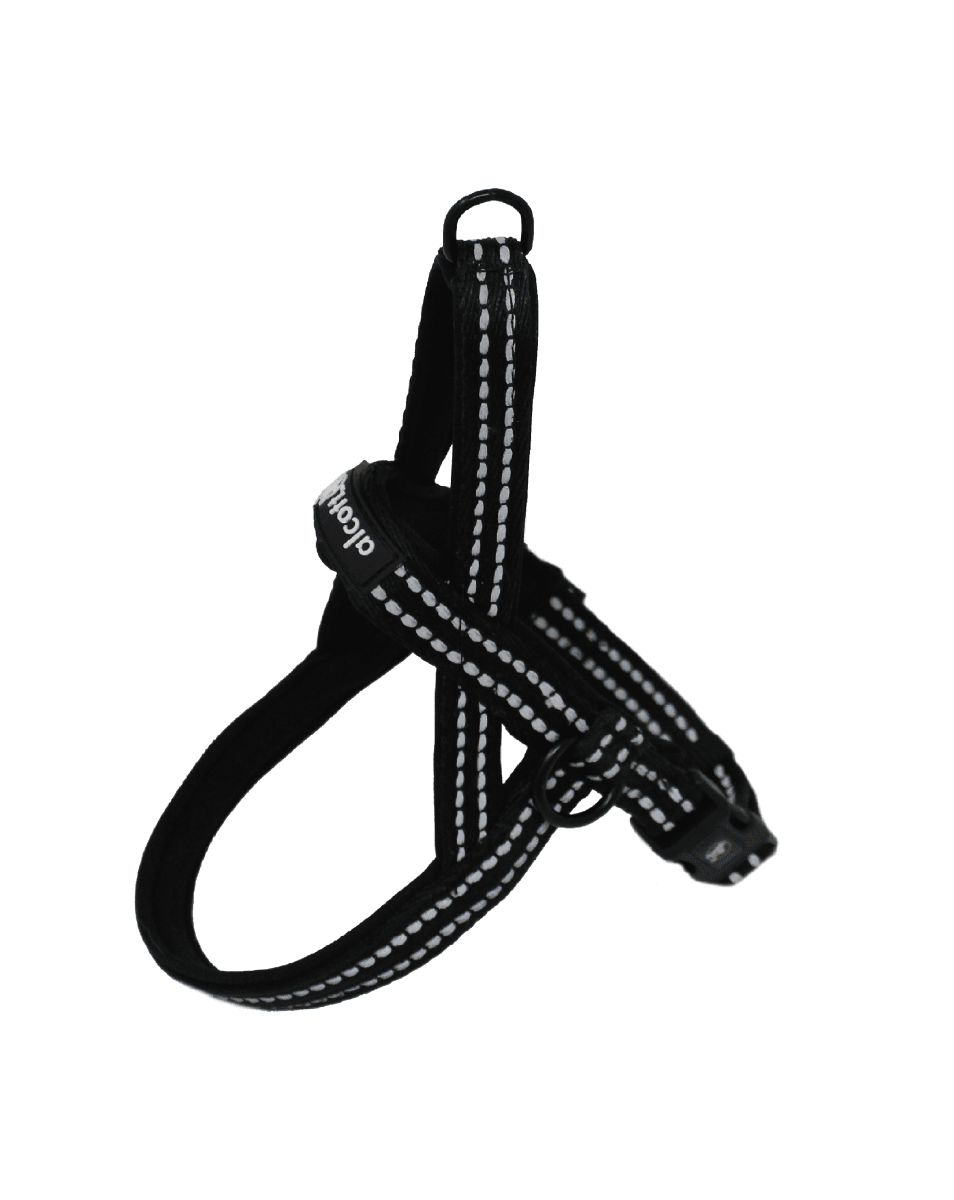 alcott-Norwegian Harness Medium, Black.png
