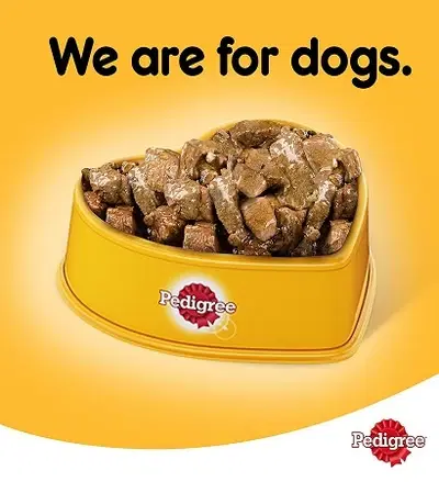 Pedigree Chicken Chunks in Gravy Wet Dog Food 400G1.webp