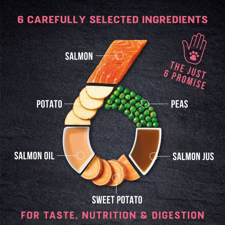 Harringtons Just 6 Salmon Grain Free Adult Dry Dog Food.avif